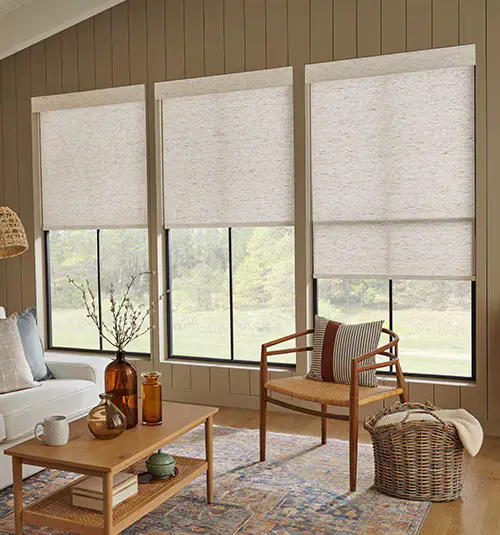 Light Filtering Roller Shades